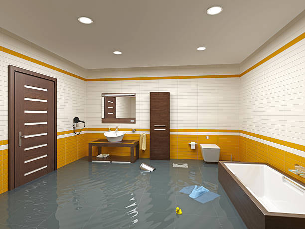 Best Flood Cleanup and Water Removal in Farmington, MN